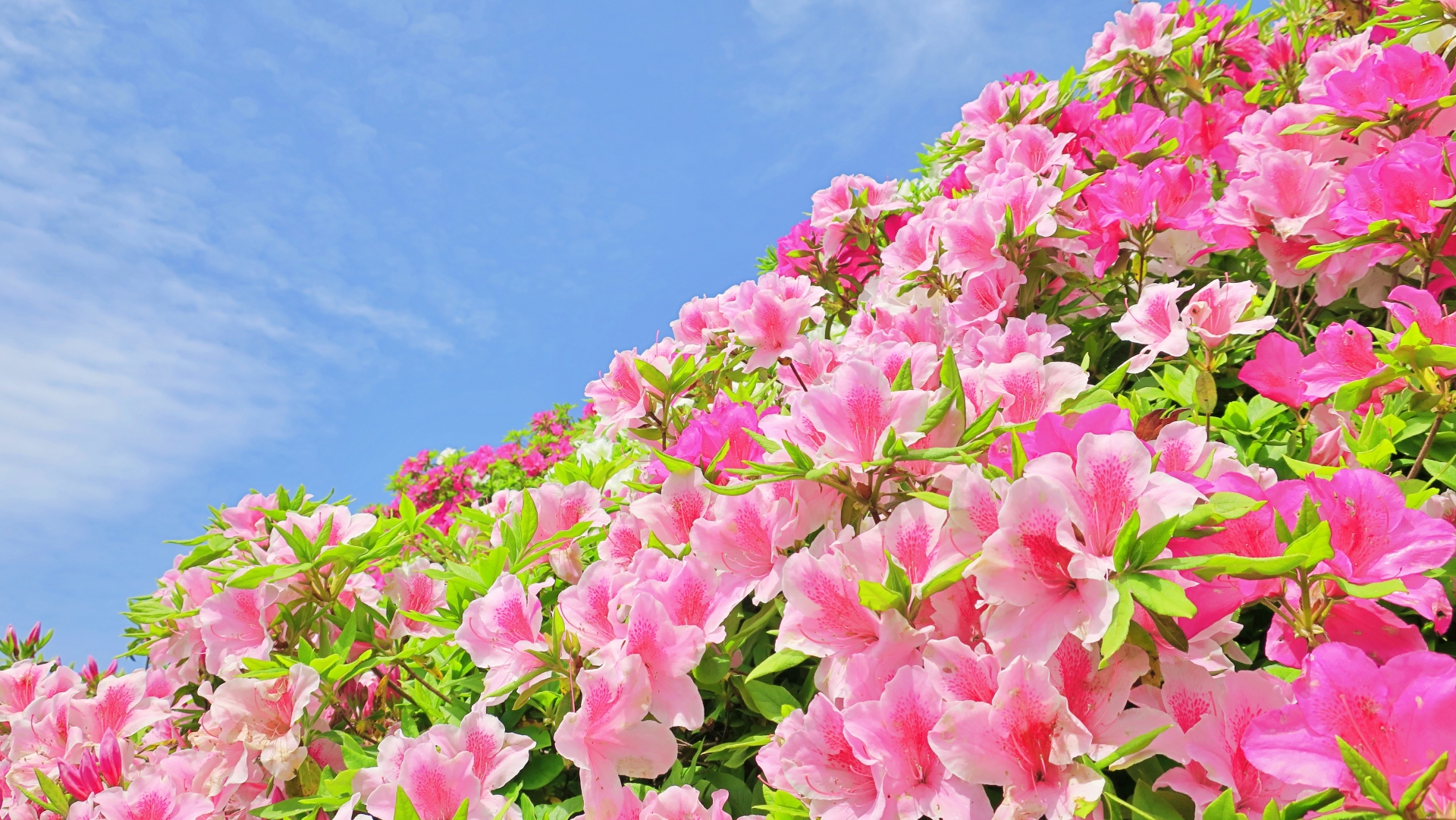 い～な暮らし応援券